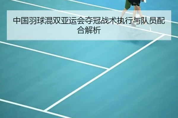 中国羽球混双亚运会夺冠战术执行与队员配合解析
